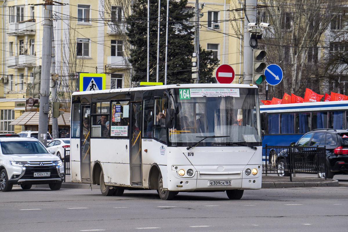 Ростовская область, Hyundai County Kuzbas HDU2 № 079