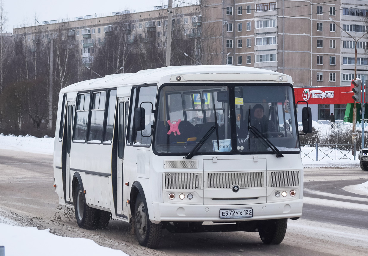 Краснодарский край, ПАЗ-4234-04 № Е 972 УХ 123