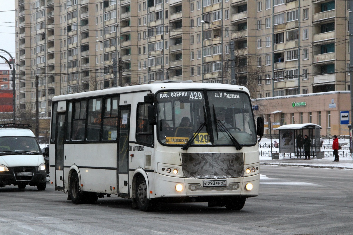 Ленинградская область, ПАЗ-320412-05 "Вектор" № О 293 РМ 47