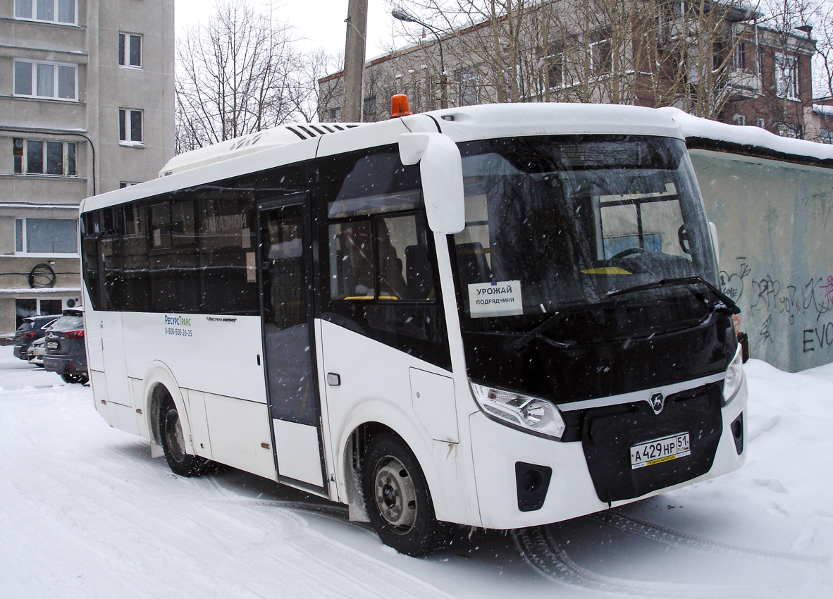Мурманская область, ПАЗ-320405-04 "Vector Next" № А 429 НР 51