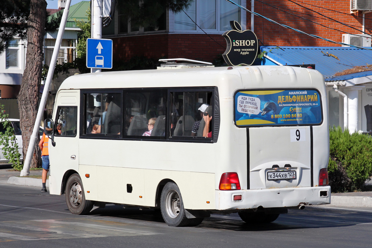 Краснодарский край, Hyundai County SWB C08 (ТагАЗ) № Х 344 ХВ 123