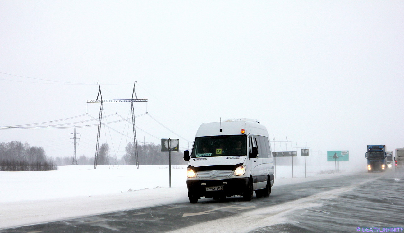 Томская область, Луидор-223602 (MB Sprinter) № Т 825 ЕМ 178 Томская область, Луидор-223602 (MB Sprinter) № Т 825 ЕМ 178
