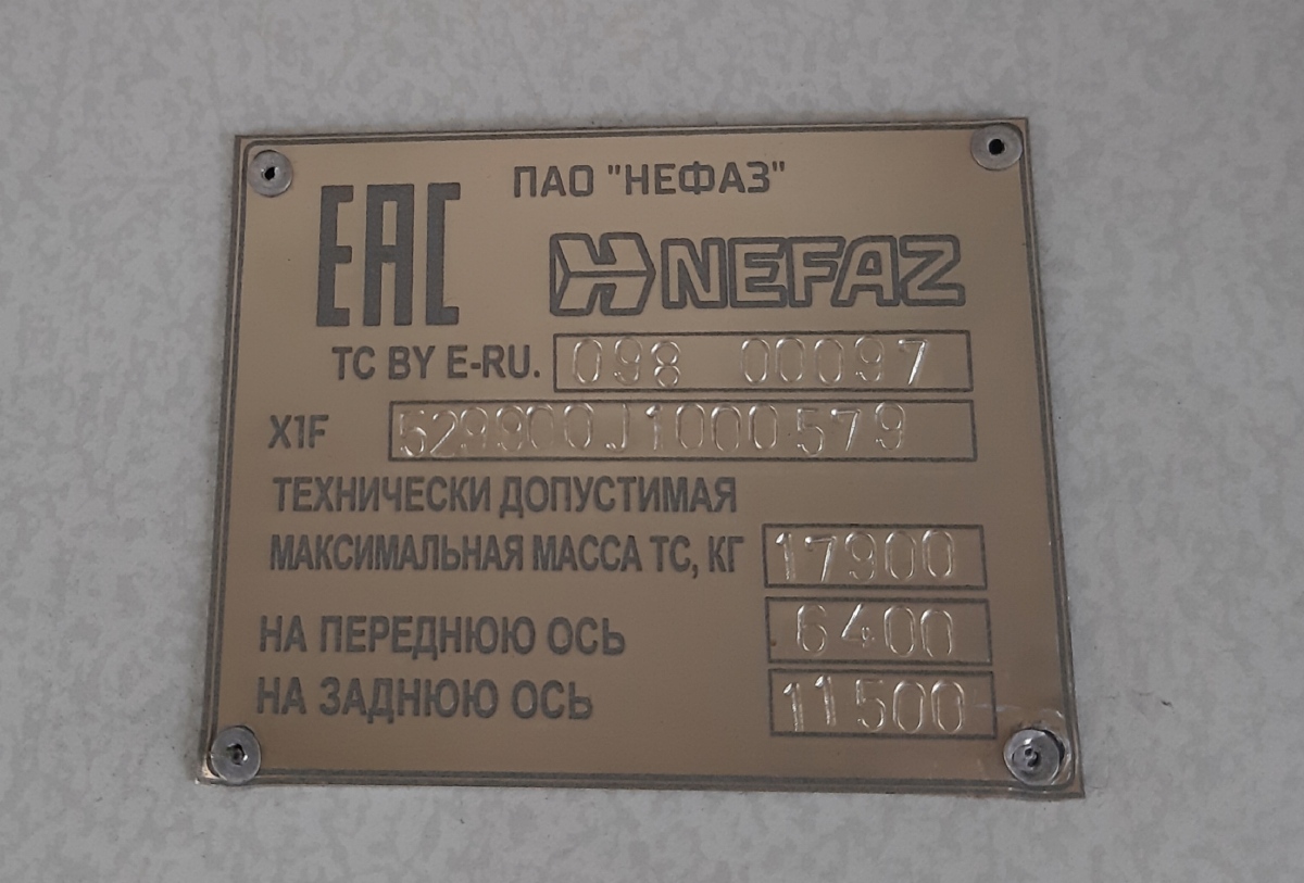 Пермский край, НефАЗ-5299-11-56 № М 029 ММ 159