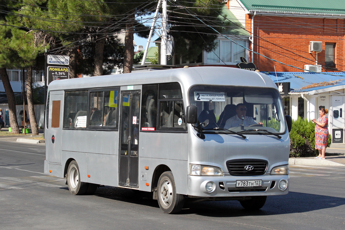 Краснодарский край, Hyundai County LWB C11 (ТагАЗ) № У 783 ТН 123