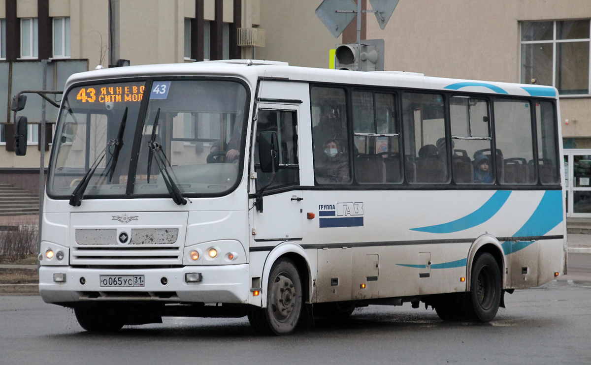 Белгородская область, ПАЗ-320412-05 № О 065 УС 31