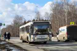 590 КБ