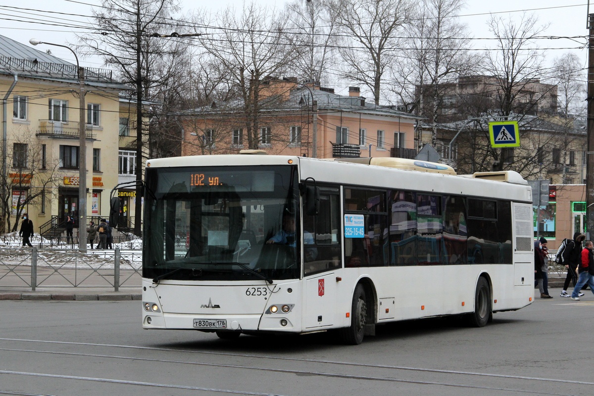 Санкт-Петербург, МАЗ-203.085 № 6253