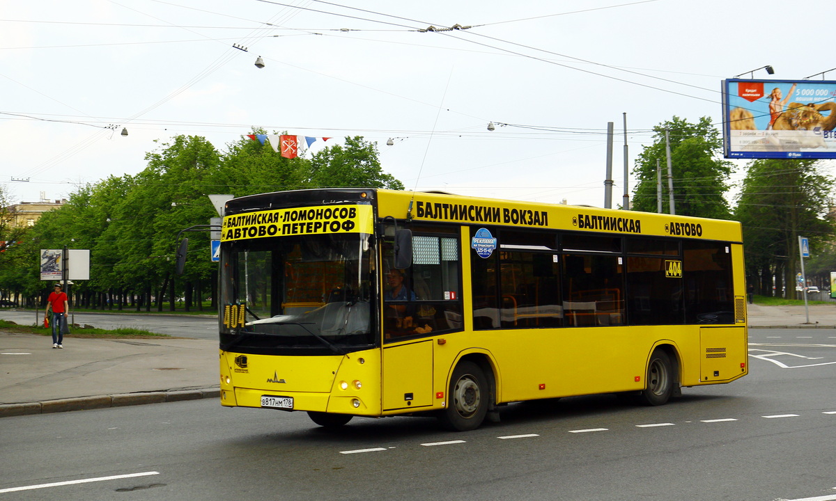 Санкт-Петербург, МАЗ-206.068 № 241