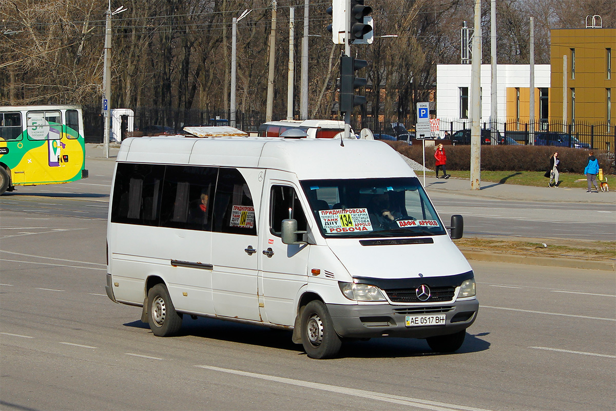 Днепропетровская область, Mercedes-Benz Sprinter W903 313CDI № AE 0517 BH