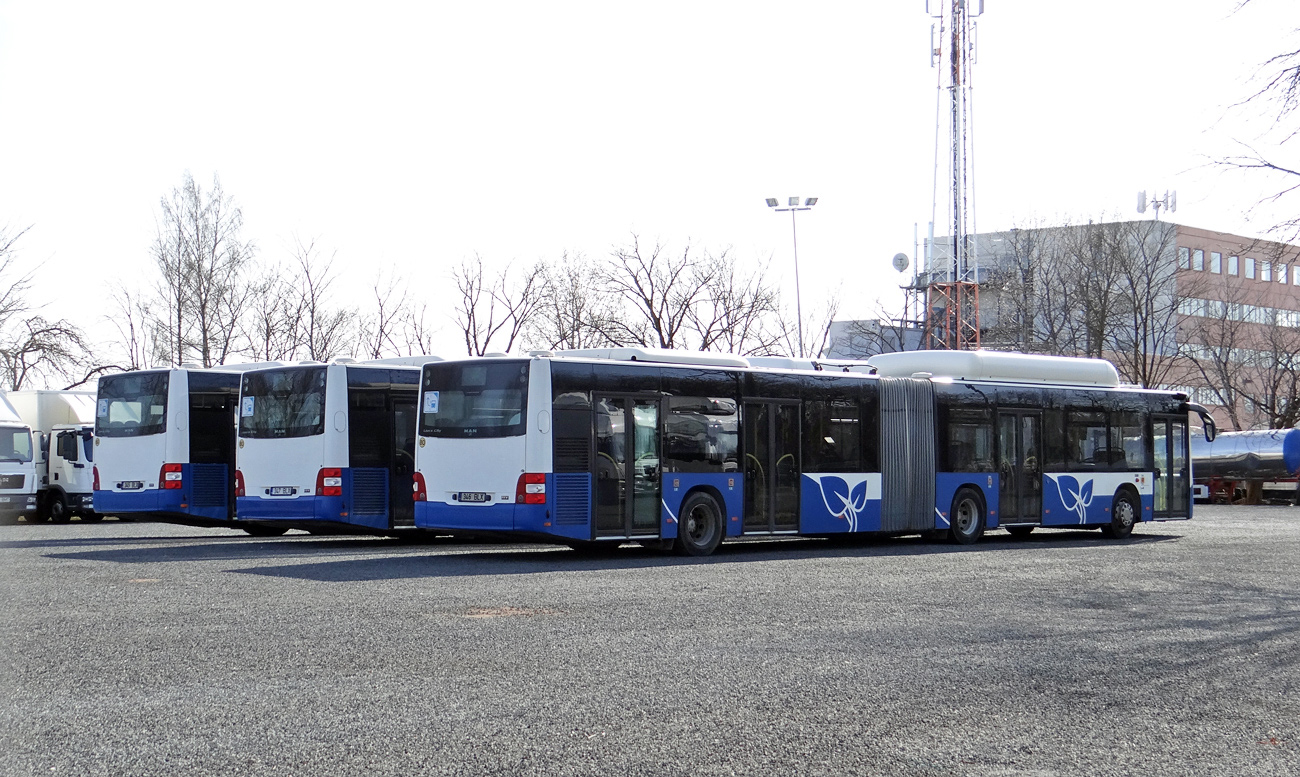 Эстония, MAN A23 Lion's City G NG313 CNG № 346 BLX