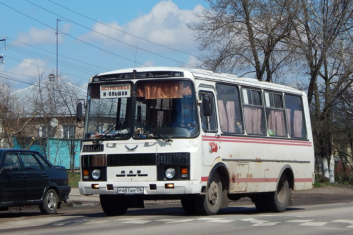 Воронежская область, ПАЗ-3205-110 № Р 487 АМ 136