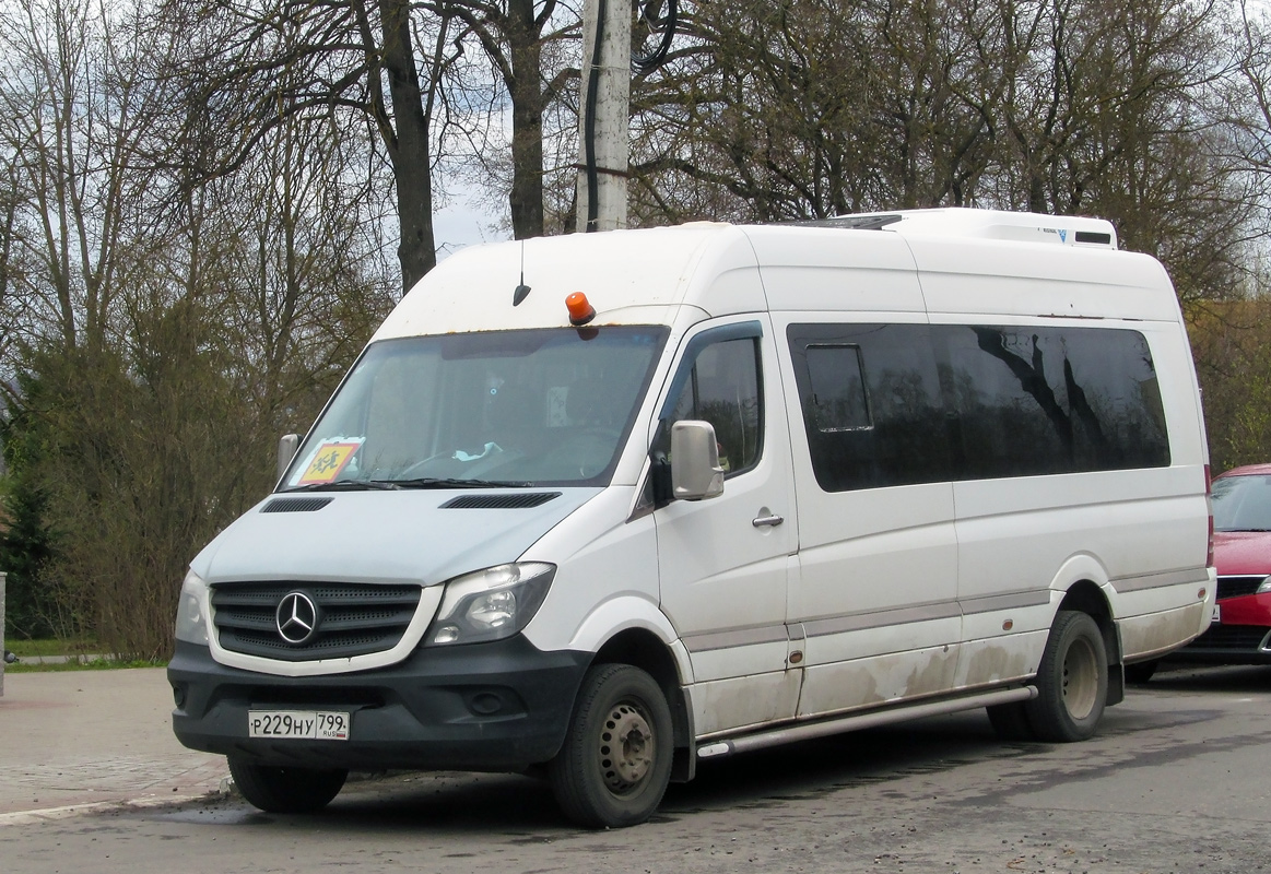 Калужская область, Луидор-223602 (MB Sprinter) № Р 229 НУ 799
