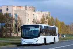 382 КБ