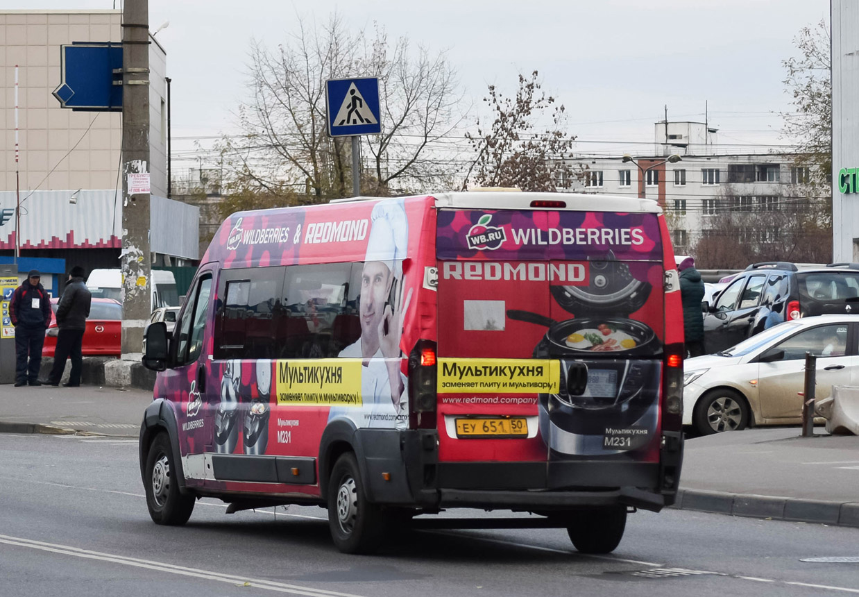Московская область, IRITO Boxer L4H2 (Z8P) № ЕУ 651 50