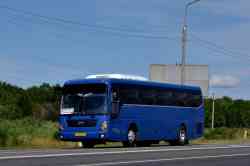 304 КБ