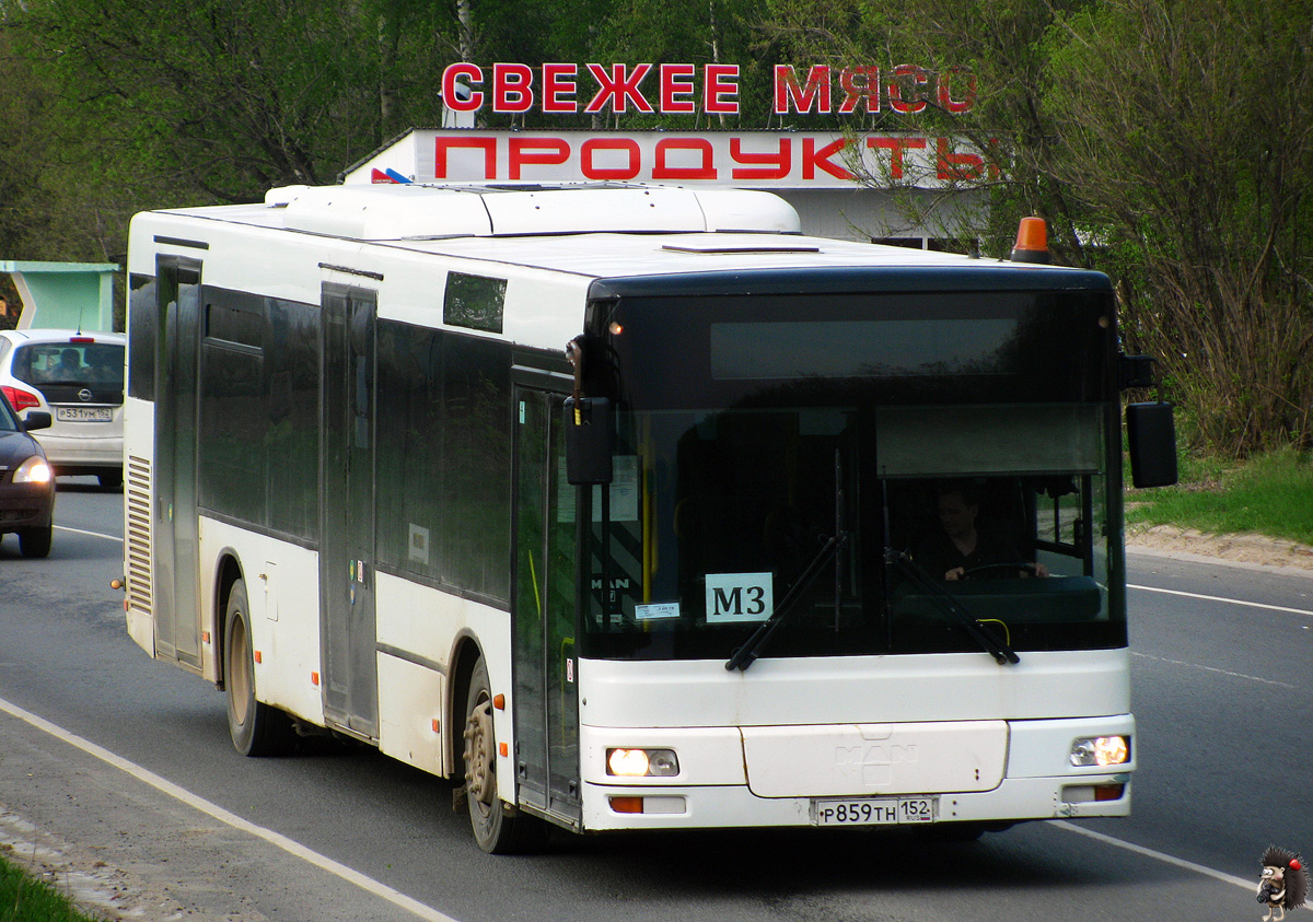 Нижегородская область, MAN A21 NL263 № Р 859 ТН 152