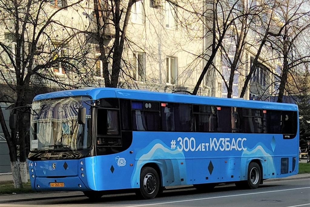 Кемеровская область - Кузбасс, НефАЗ-5299-17-52 № 238
