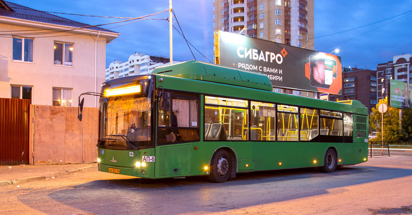 Свердловская область, МАЗ-203.L65 № 1638