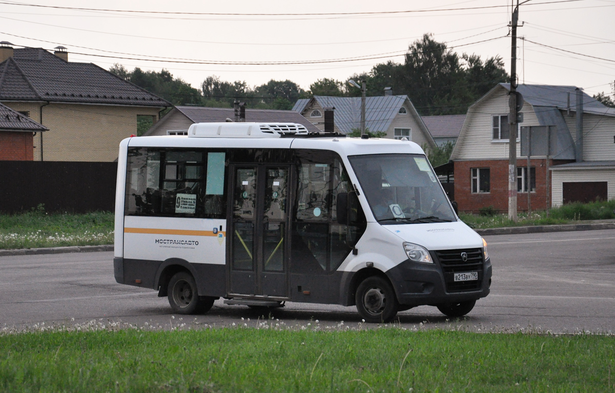 Московская область, Луидор-2250DS (ГАЗ Next) № 595