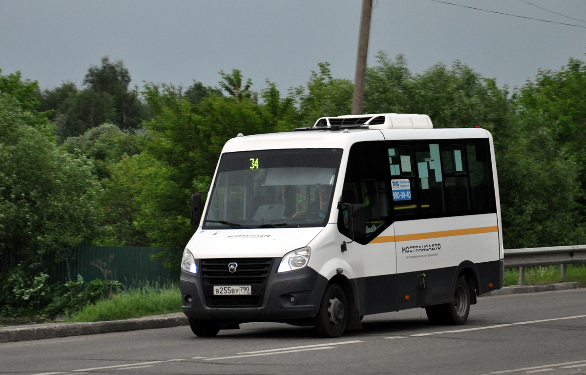 Московская область, Луидор-2250DS (ГАЗ Next) № 599
