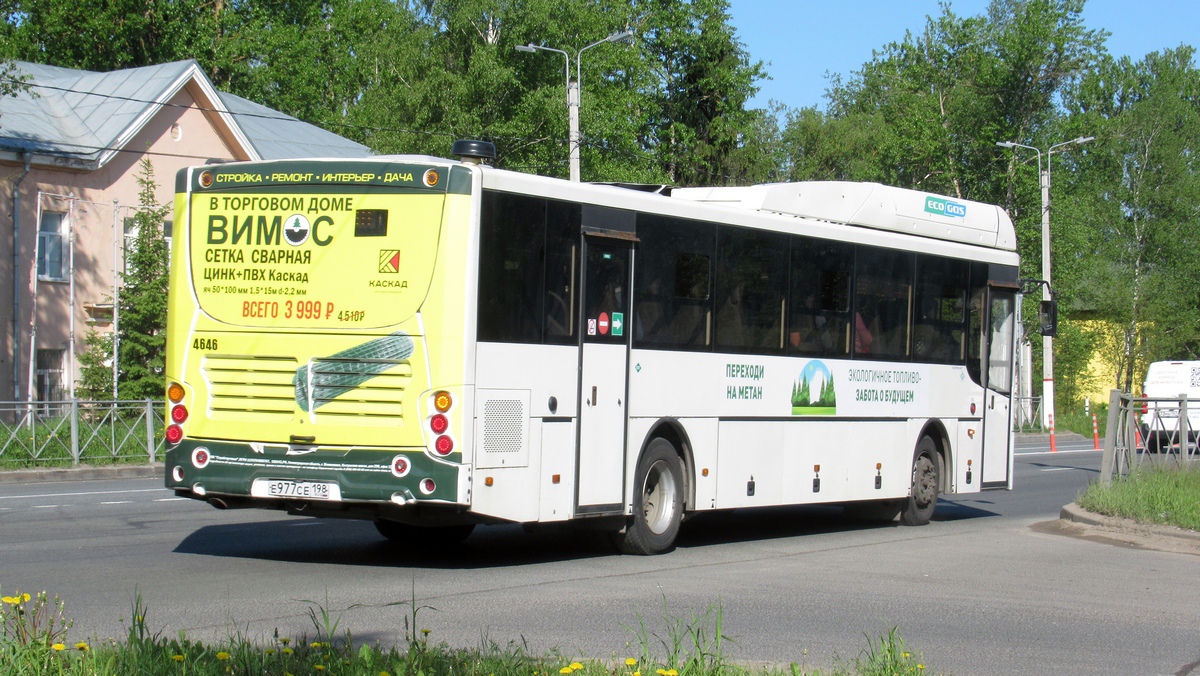 Ленинградская область, Volgabus-5285.G2 № 4646