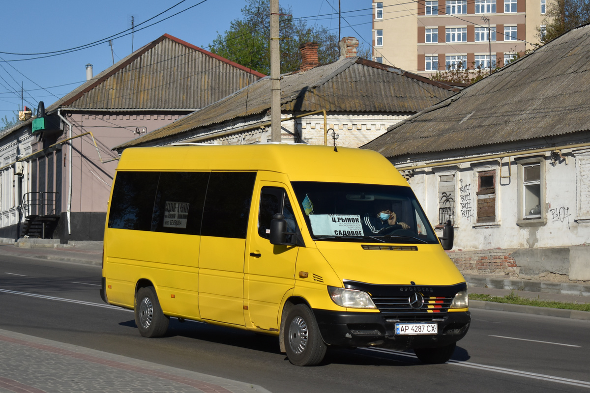 Запорожская область, Mercedes-Benz Sprinter W903 308CDI № AP 4287 CX
