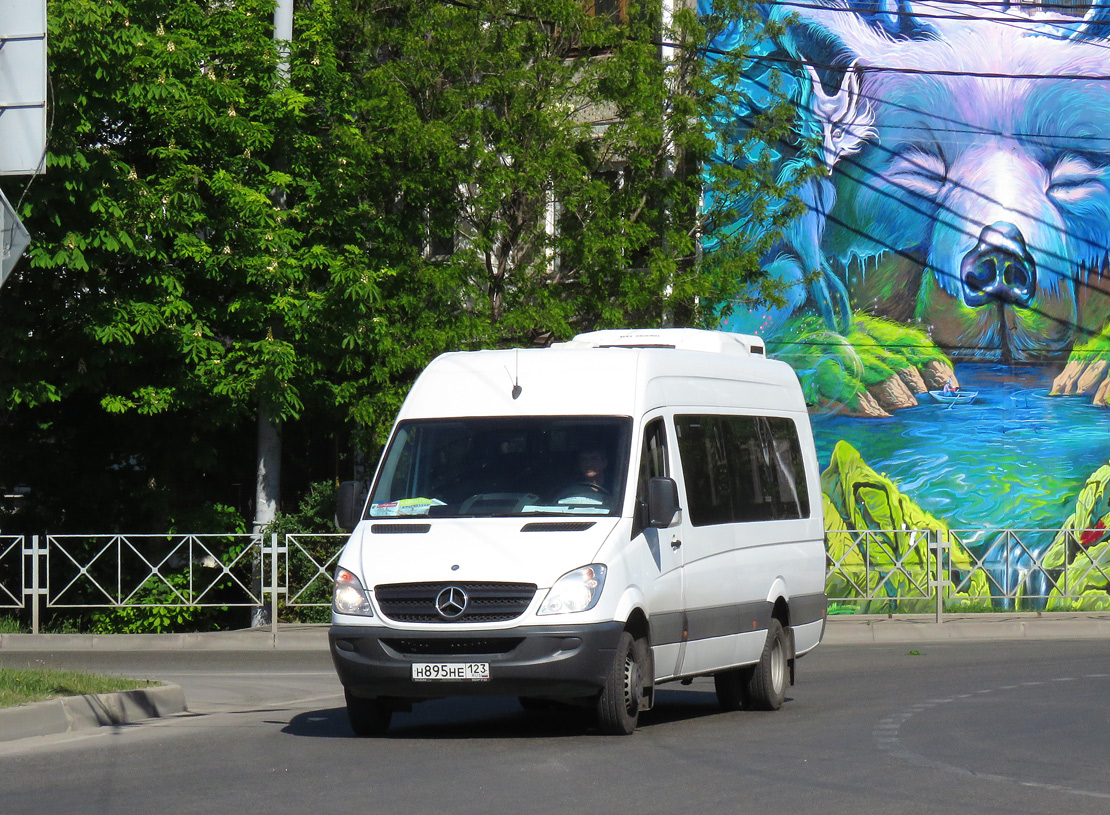 Краснодарский край, Луидор-223602 (MB Sprinter) № Н 895 НЕ 123