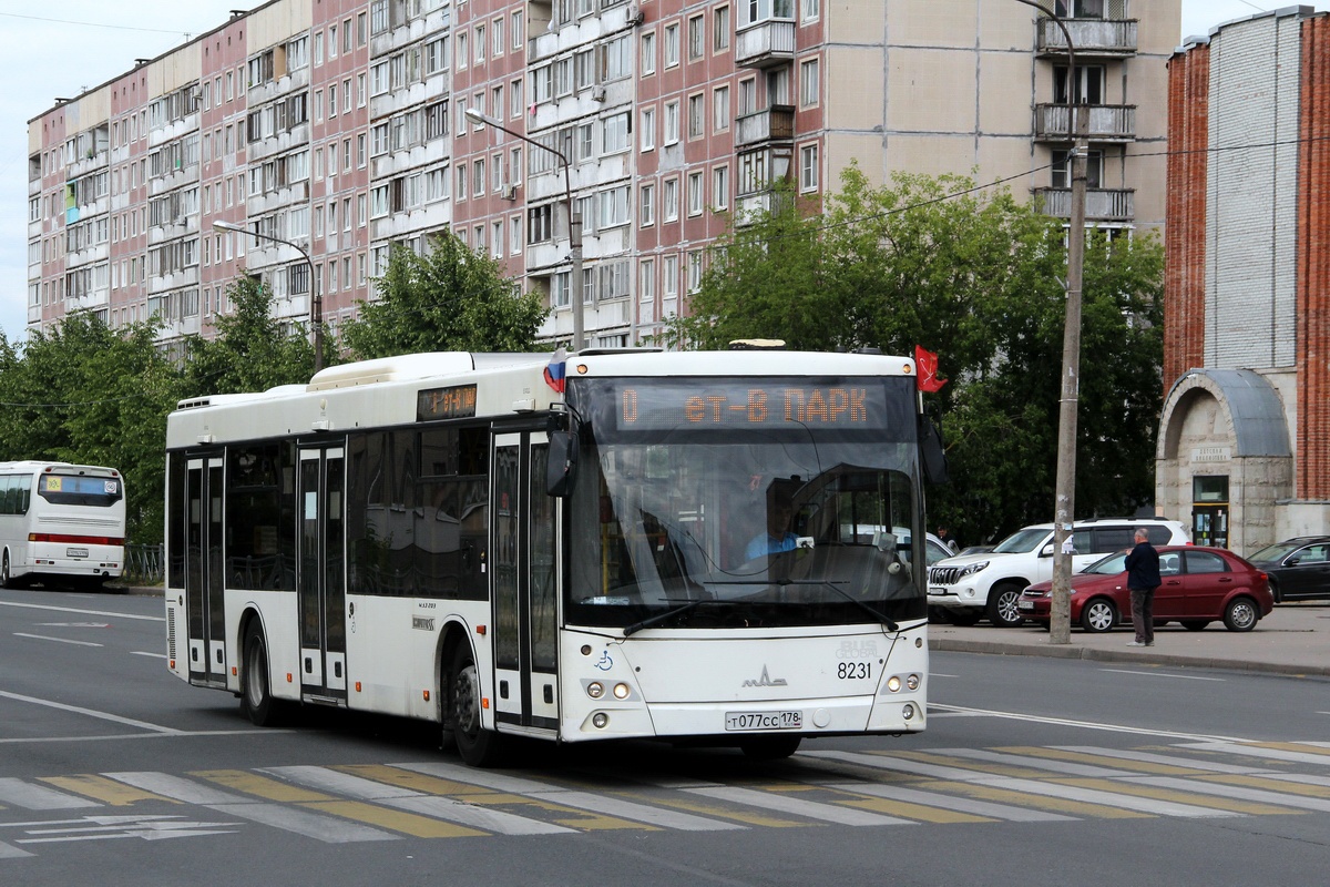 Saint Petersburg, MAZ-203.085 # 8231