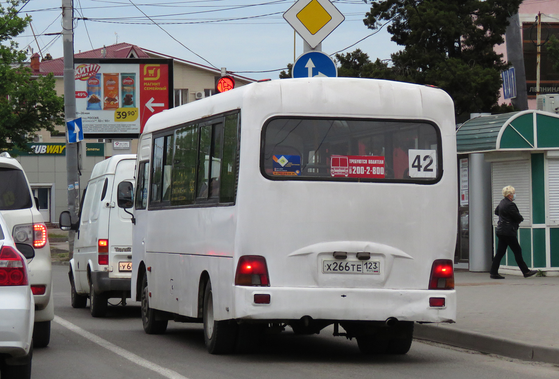 Краснодарский край, Hyundai County LWB C09 (ТагАЗ) № Х 266 ТЕ 123