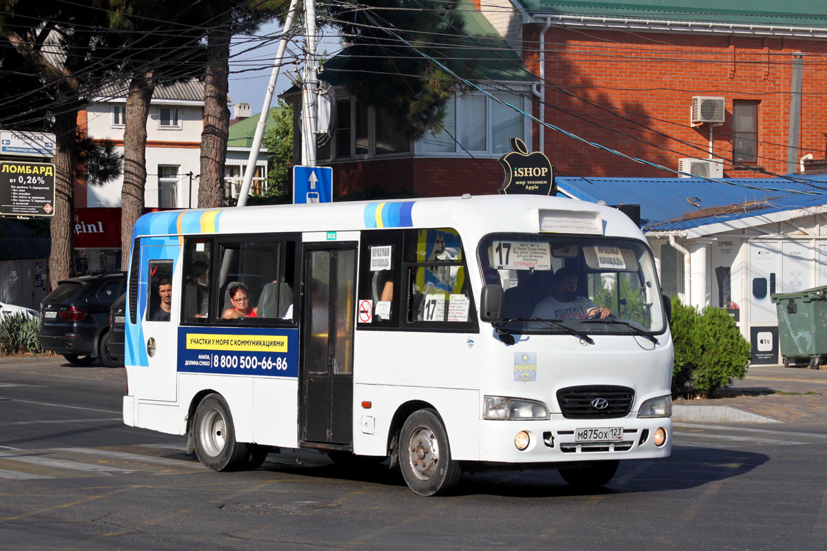 Краснодарский край, Hyundai County SWB C08 (РЗГА) № М 875 ОХ 123