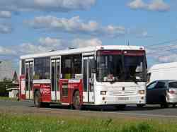 290 КБ