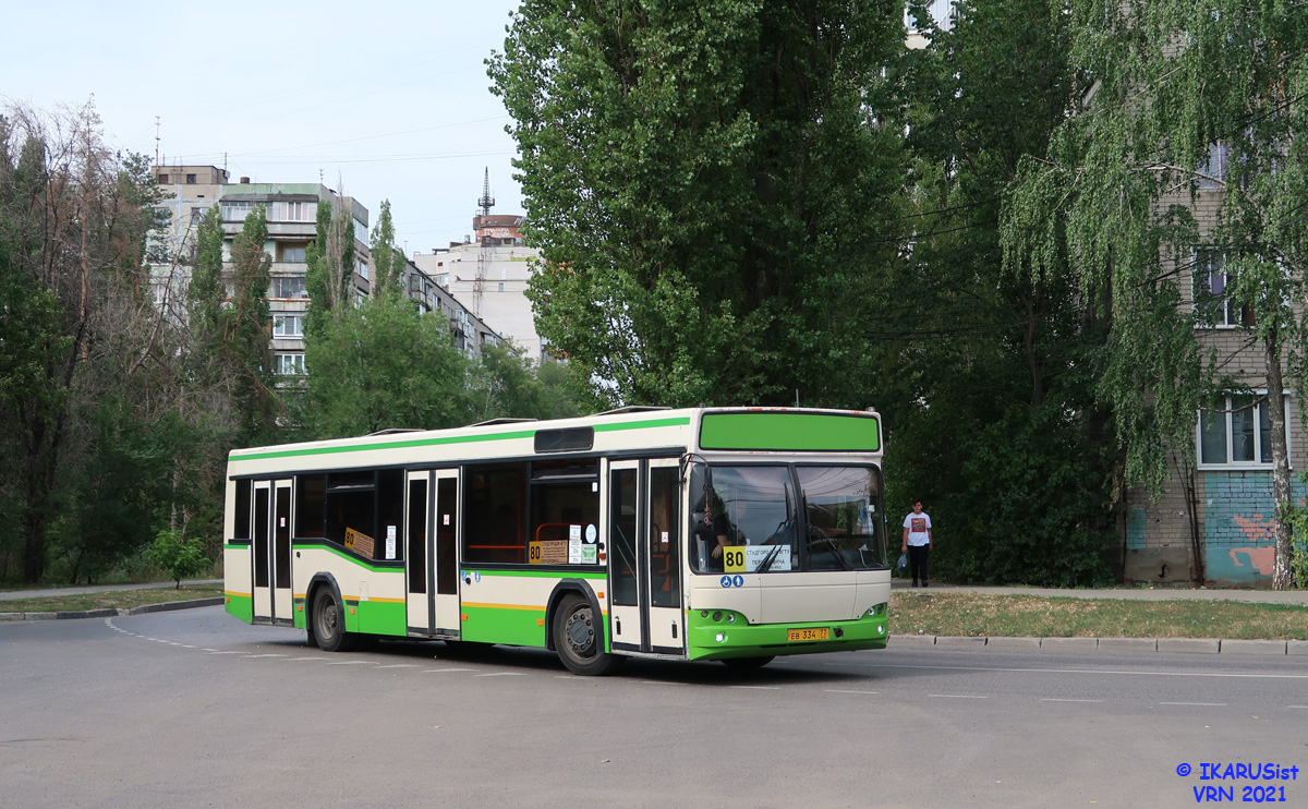 Воронежская область, МАЗ-103.465 № ЕВ 334 77