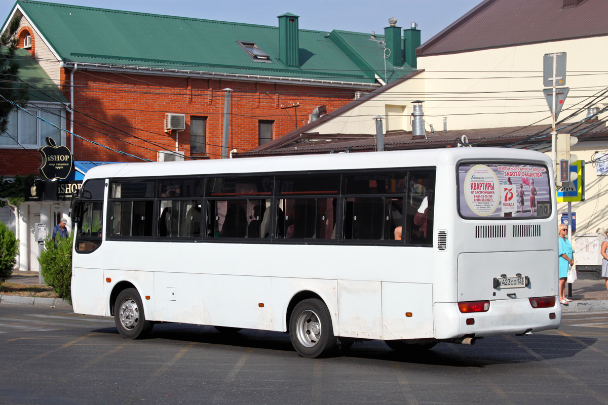 Krasnodar region, Hyundai AeroTown (RZGA) # К 423 ОО 123
