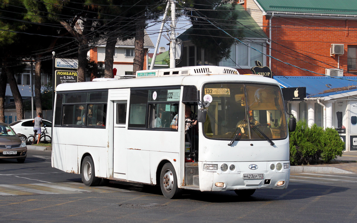 Краснодарский край, Hyundai AeroTown № М 423 ЕР 123