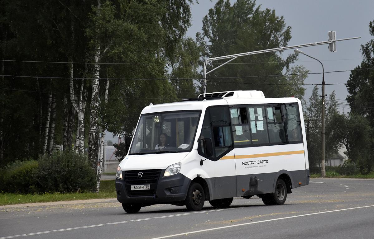 Московская область, Луидор-2250DS (ГАЗ Next) № 0896