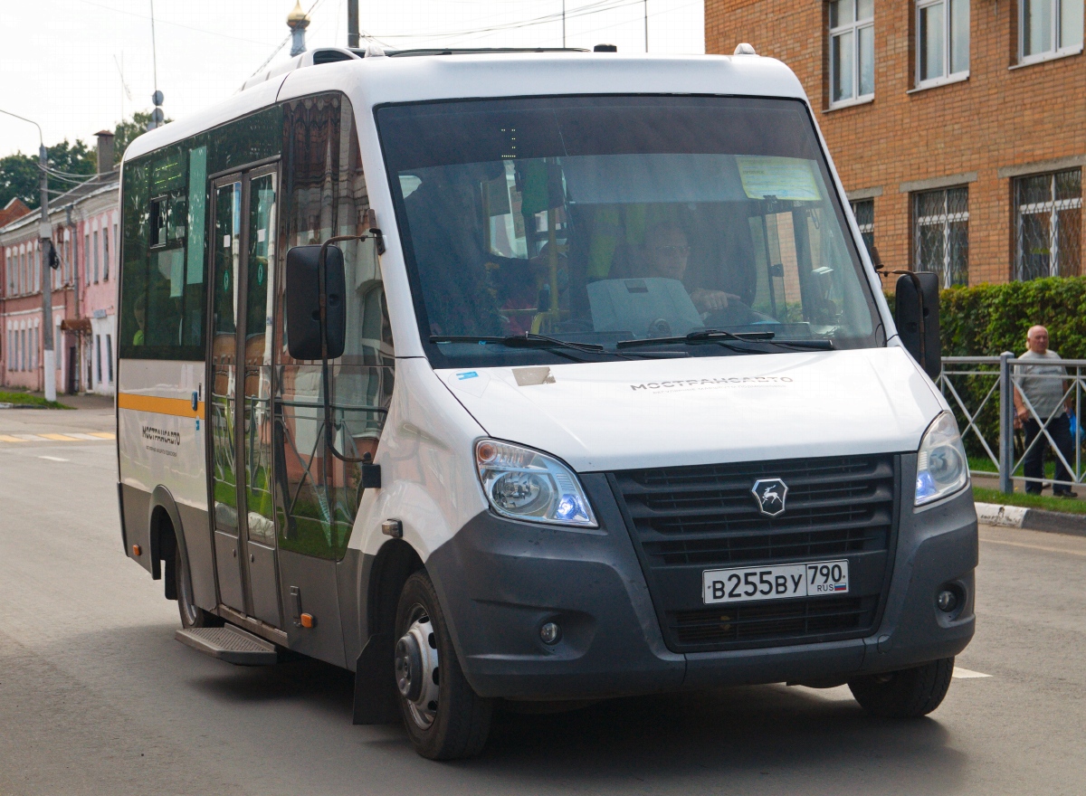 Московская область, Луидор-2250DS (ГАЗ Next) № 599