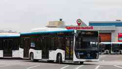631 КБ