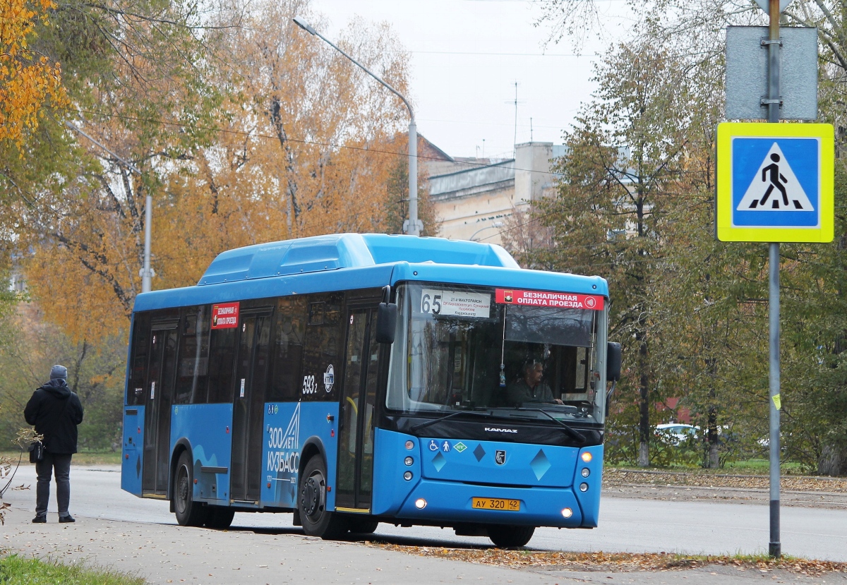 Кемеровская область - Кузбасс, НефАЗ-5299-30-56 № 593