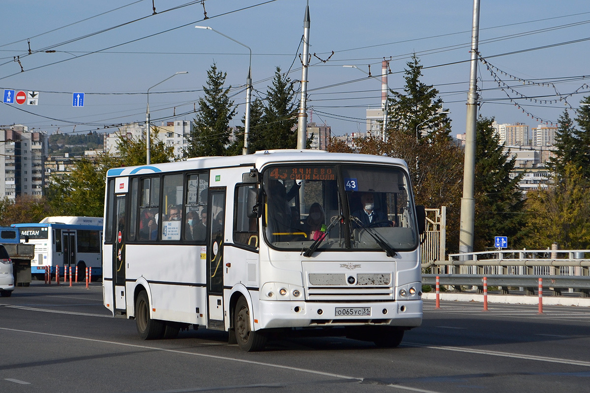 Белгородская область, ПАЗ-320412-05 № О 065 УС 31