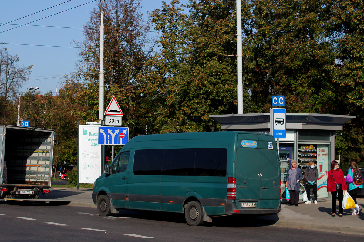 Литва, Žaibas № EDS 289