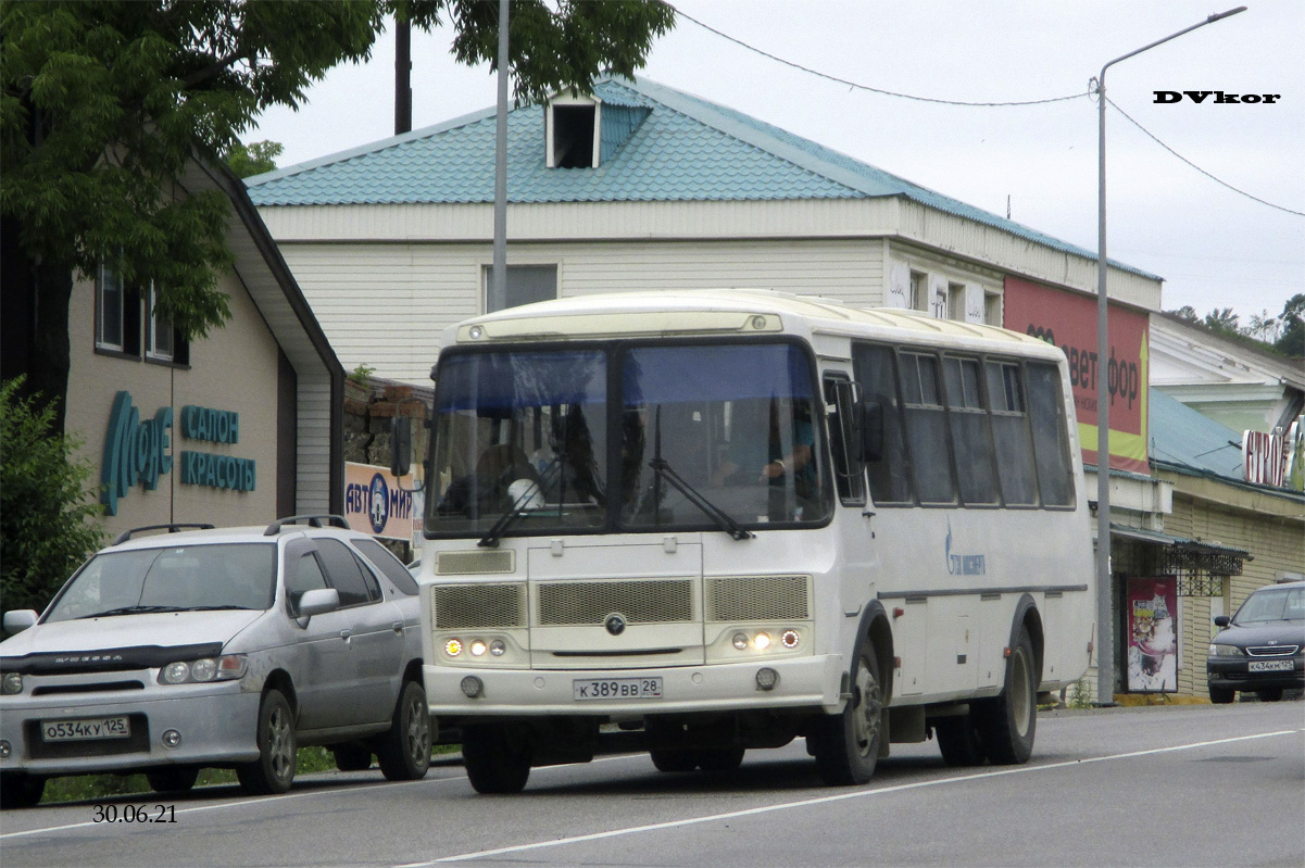 Амурская область, ПАЗ-4234-04 № К 389 ВВ 28