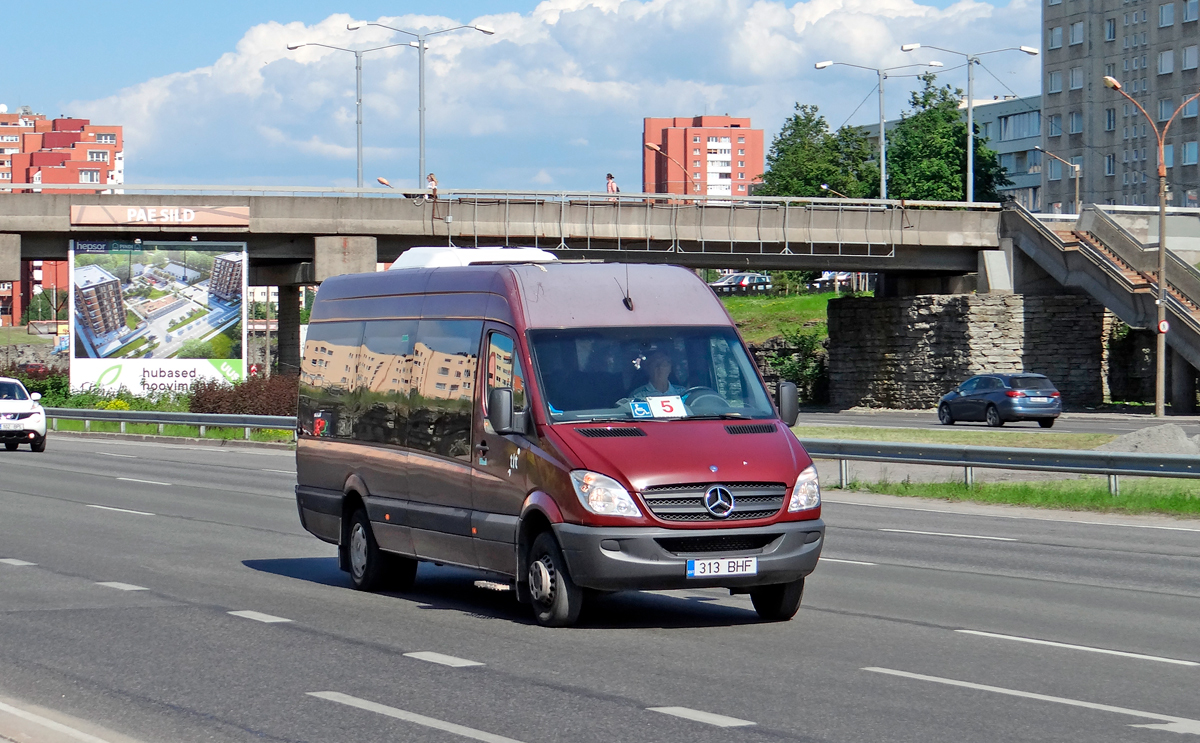 Эстония, Avestark № 7313