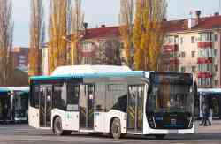 591 КБ