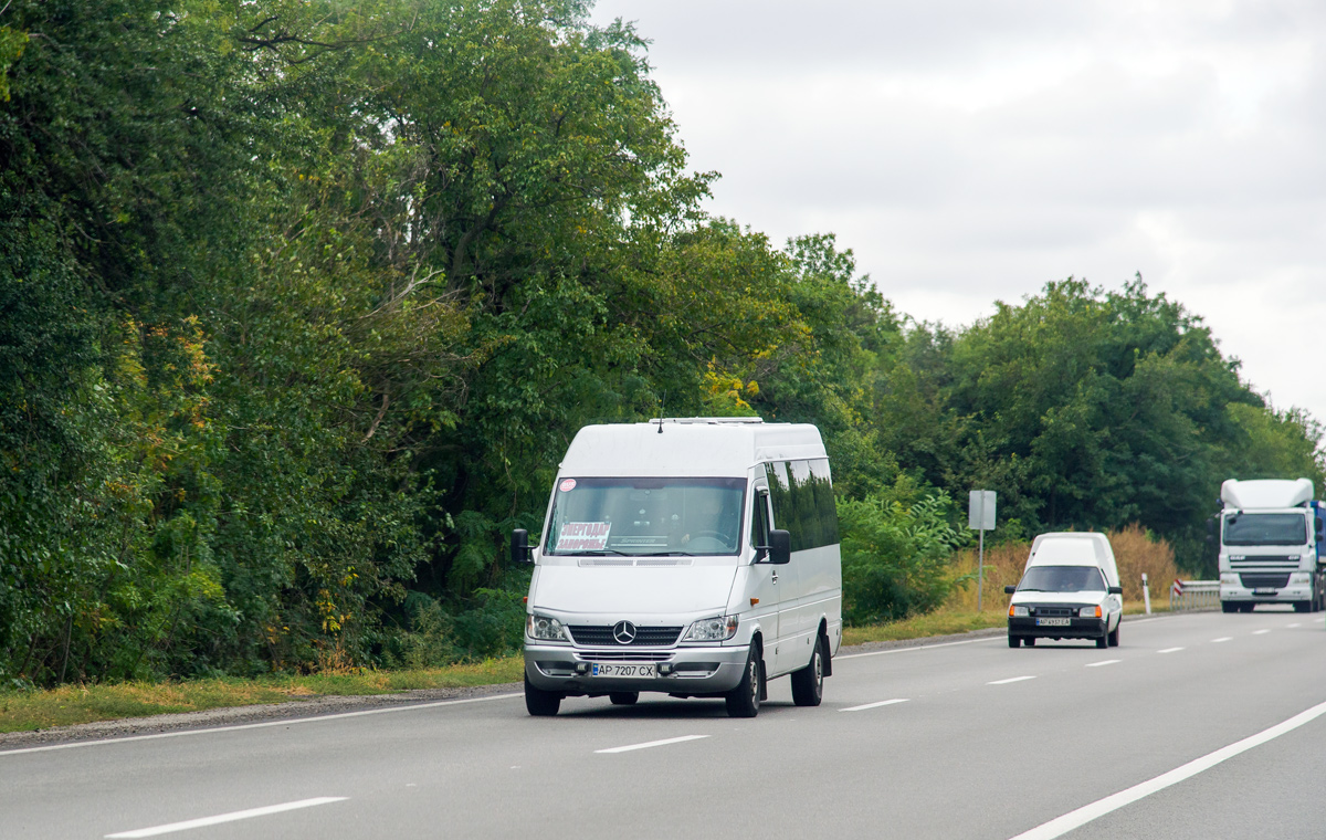 Запорожская область, Mercedes-Benz Sprinter W903 311CDI № AP 7207 CX