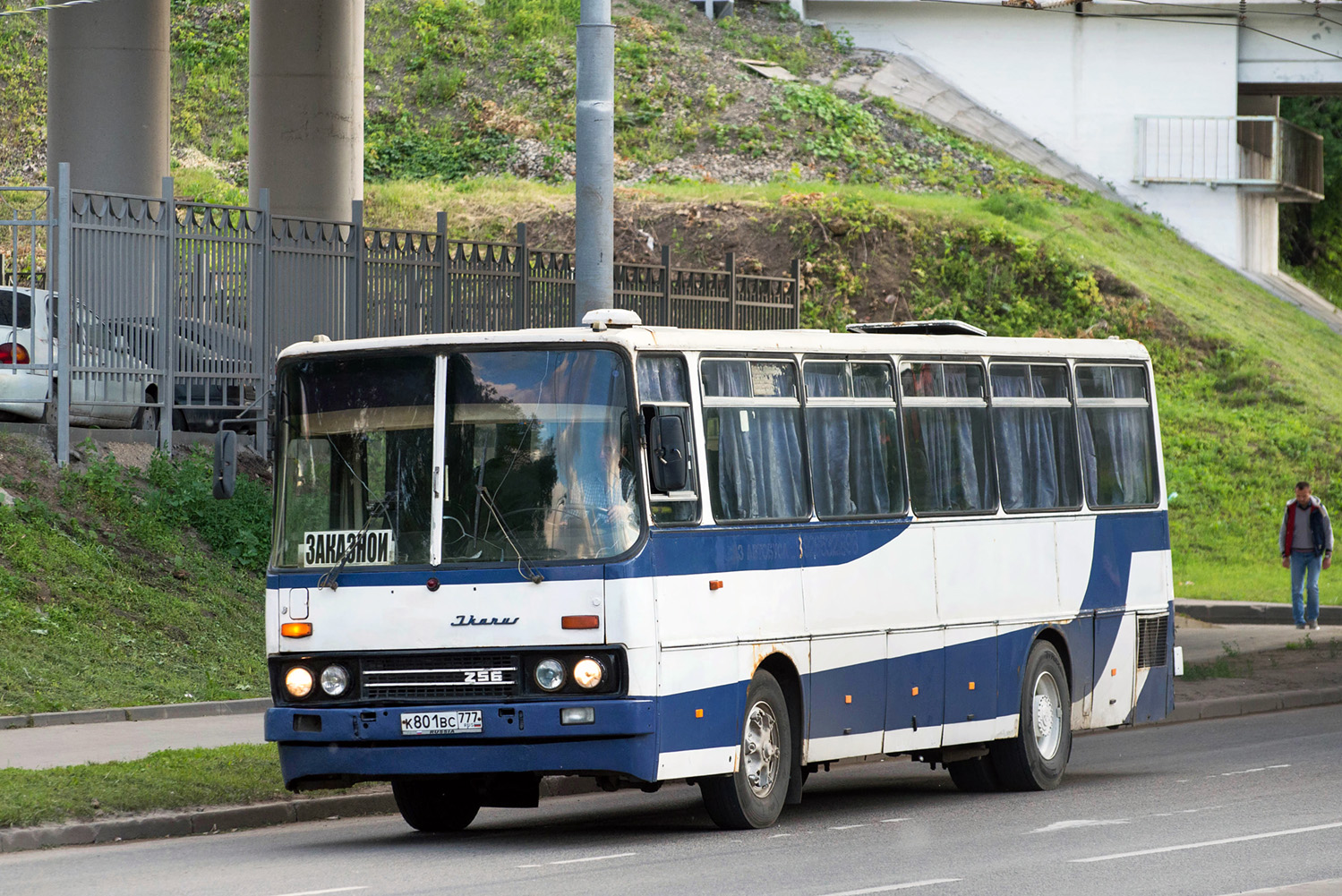 Московская область, Ikarus 256.51 № К 801 ВС 777