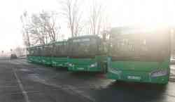 393 КБ