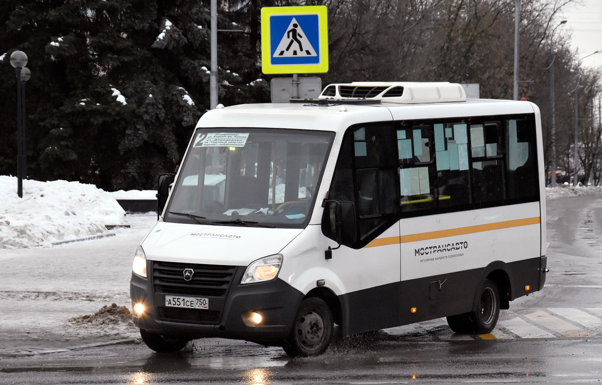 Московская область, Луидор-2250DS (ГАЗ Next) № 0673