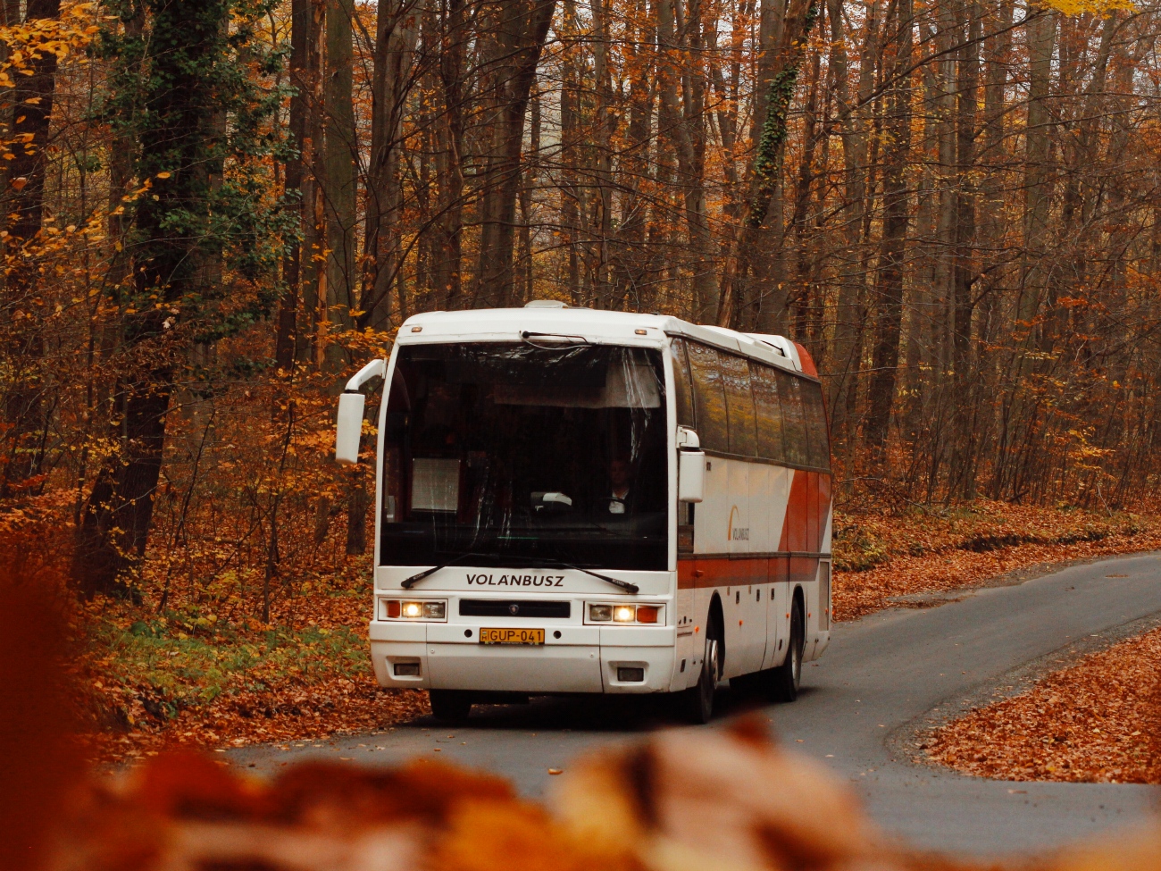 Hungary, Ikarus EAG E98.06 # GUP-041; Hungary — Photo tours