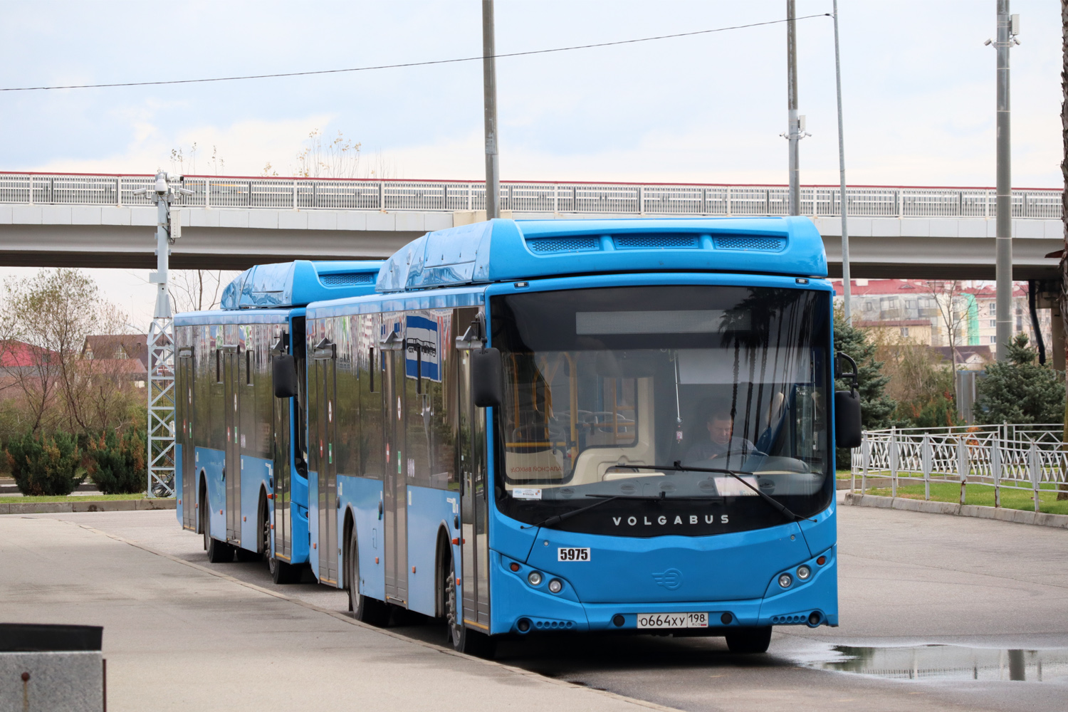 Краснодарский край, Volgabus-5270.G2 (CNG) № 5975