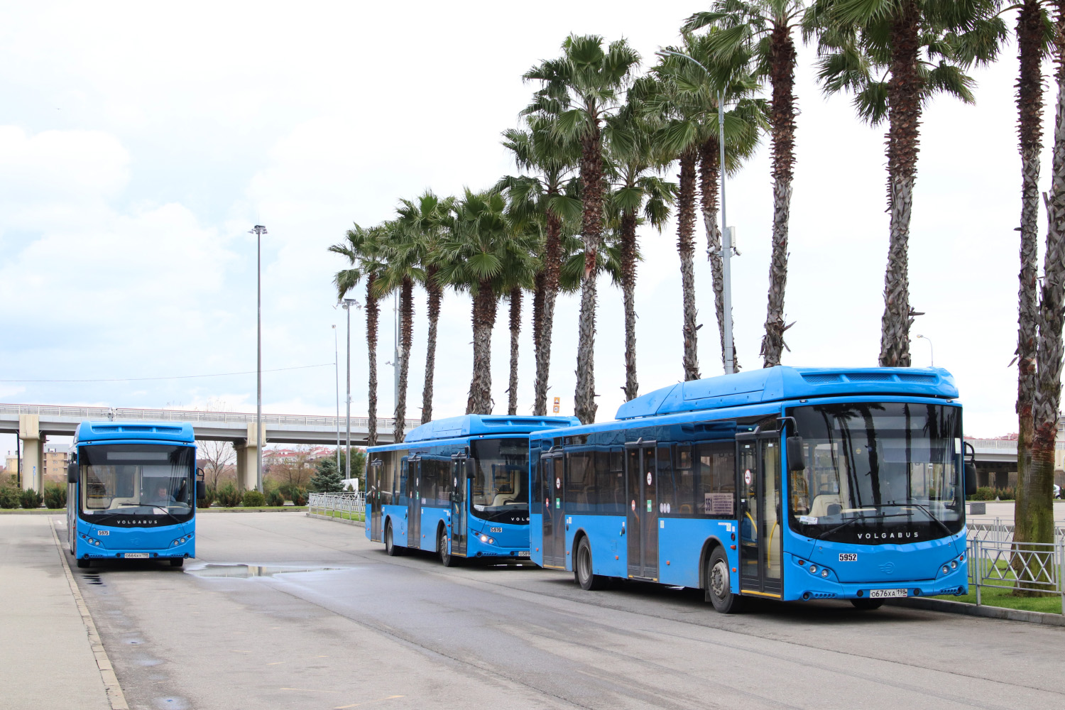 Краснодарский край, Volgabus-5270.G2 (CNG) № 5952